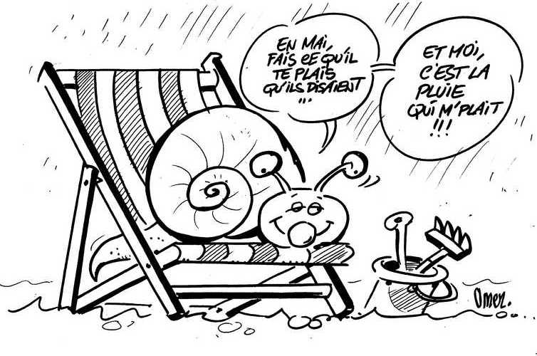 En mai ce qu’il te plait…